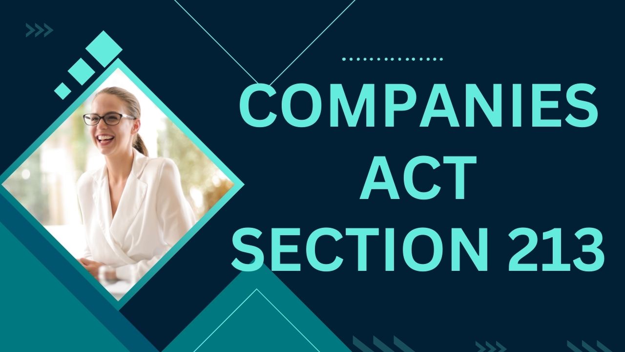 Companies Act Section 213