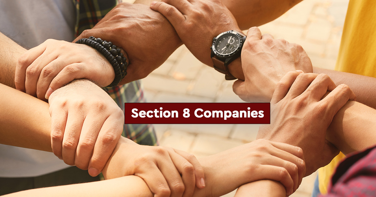 Section 8 Companies