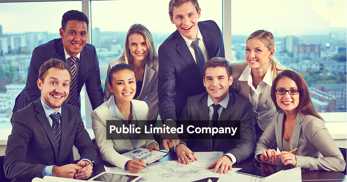 Public Limited Company